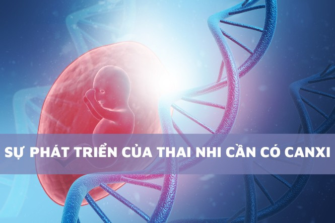 Cách uống canxi cho bà bầu an toàn cho một thai kỳ khỏe mạnh