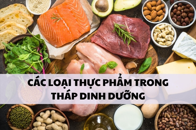 Các thực phẩm đại diện trong tháp dinh dưỡng