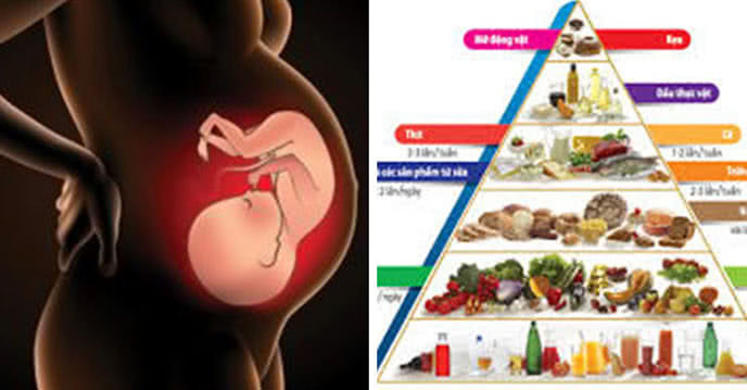 Chế độ dinh dưỡng cho bà bầu ăn vào con không vào mẹ