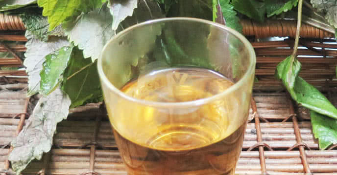 Nước lá tía tô hỗ trợ đẩy nhanh quá trình sinh nở