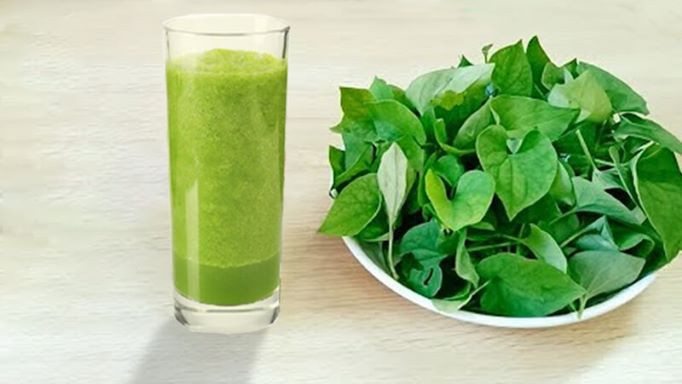 Nước rau diếp cá giúp thanh nhiệt, giảm đờm