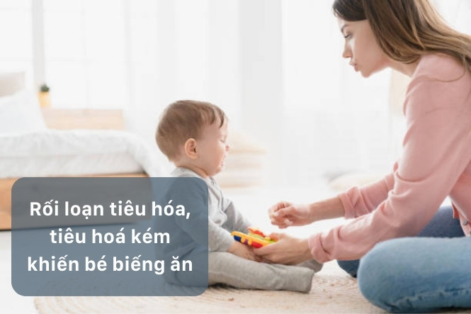 Trẻ 3 tuổi biếng ăn nên bổ sung gì? Cha mẹ bổ sung ngay cho bé các chất sau