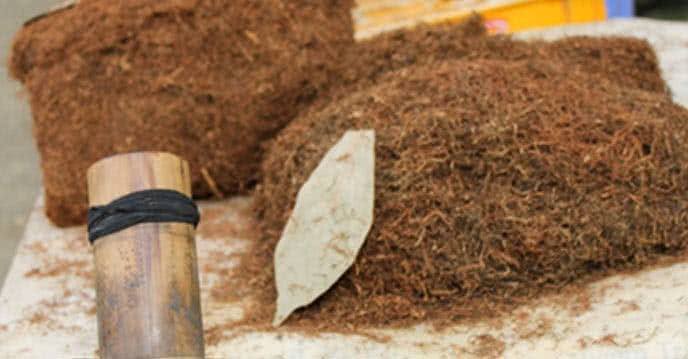 Thuốc lào là mẹo hay giúp phụ nữ sau sinh mổ xì hơi nhanh