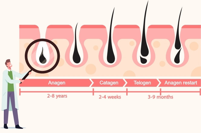 Tóc mọc nhanh trong vòng 7 ngày nếu bạn làm ngay 5 điều sau